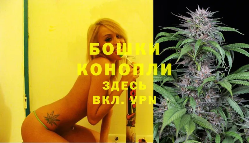 купить  цена  Буинск  МАРИХУАНА White Widow 